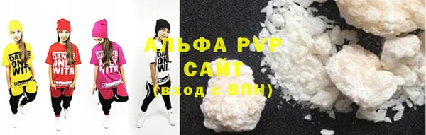 apvp Вяземский
