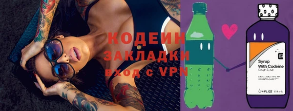 apvp Вяземский