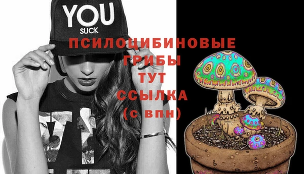 apvp Вяземский