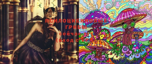 apvp Вяземский