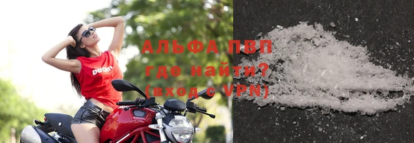 apvp Вяземский