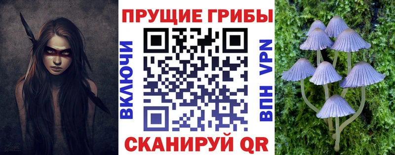 Псилоцибиновые грибы мицелий  Железноводск 